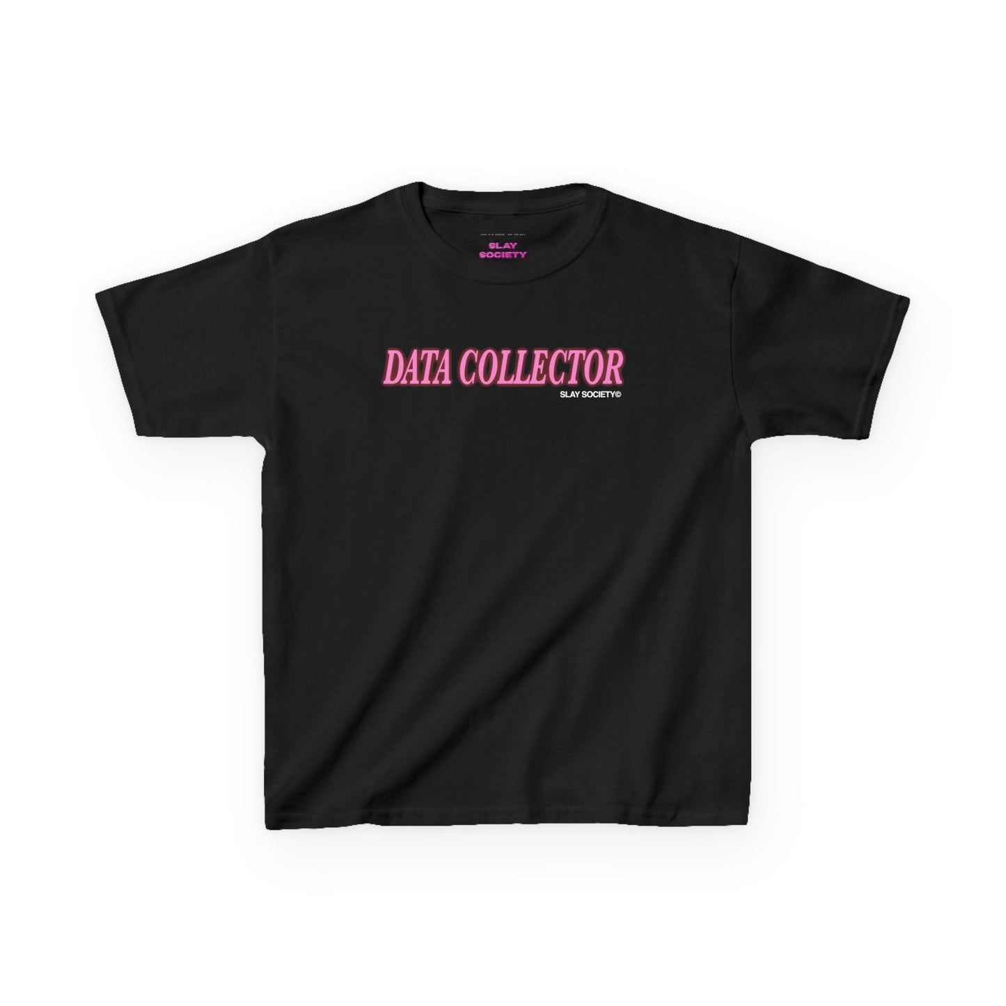 The 'DATA COLLECTOR' Baby Tee