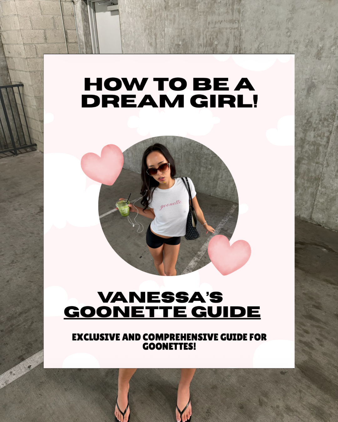 VANESSA'S GOONETTE GUIDE - HOW TO BE YOUR DREAM GIRL ($25 VALUE)